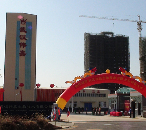 Wuhan Weijia