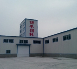 Donggang Jinfeng Feed